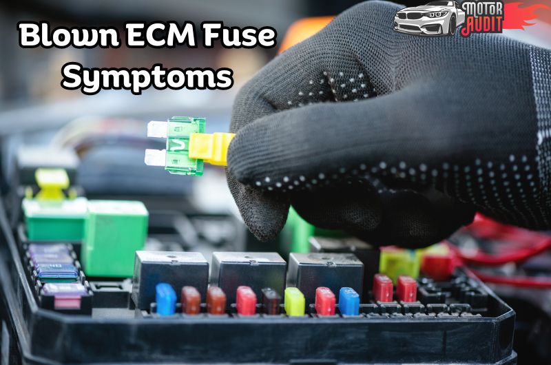 Blown Ecm Fuse Symptoms