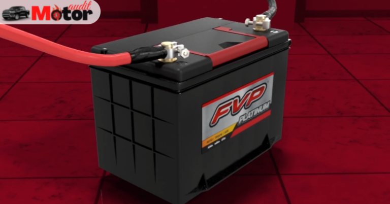 Do You Know Who Makes FVP batteries? (Answer Explained)